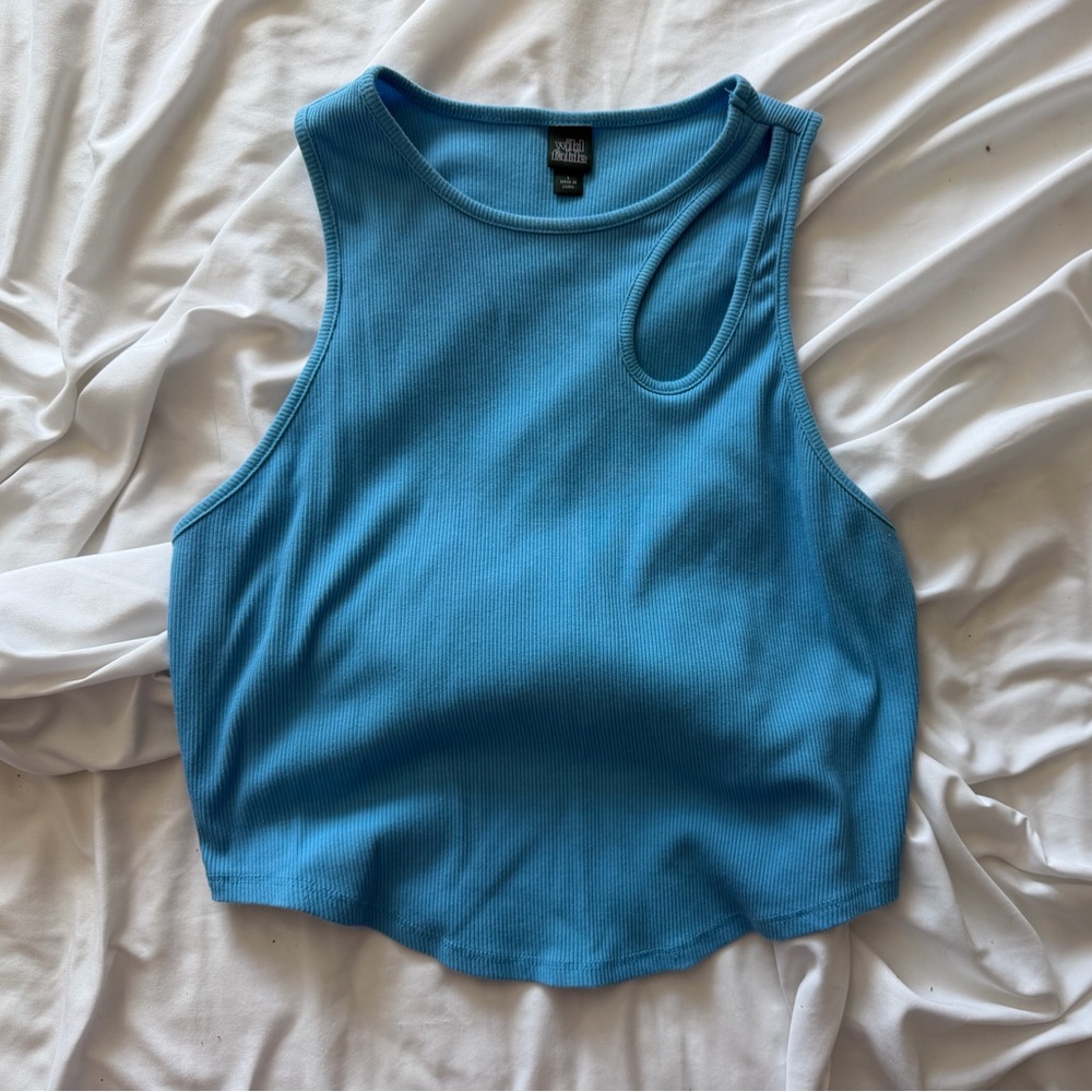 Wild Fable Blue Crop Top